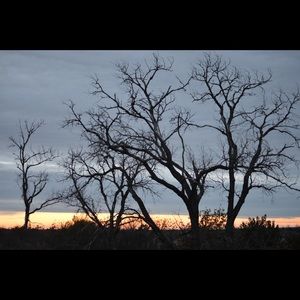 Meet your Posher, Tom